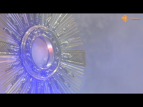 En la prueba Dios no abandona y nos da fuerzas - Padre Martín Ávalos - Ministerio Dei Verbum