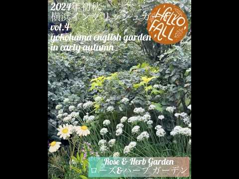  2023年9月に植える芳香ハーブ：秋にはこの5つの植物が庭に咲き誇ります  庭園