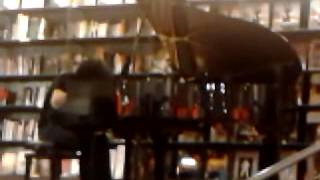 ASIAN EYES - GIOVANNI ALLEVI