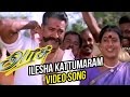 Arasu Tamil Movie Ilesha Kattumaram Video Song Sarathkumar Simran Mani Sharma