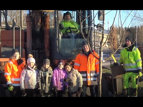 Trädplantering december 2021
