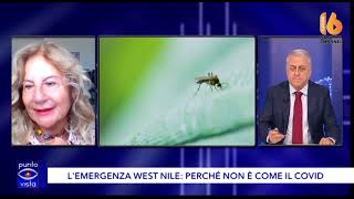 napoli la prof triassi ecco come difendersi dalla west nile