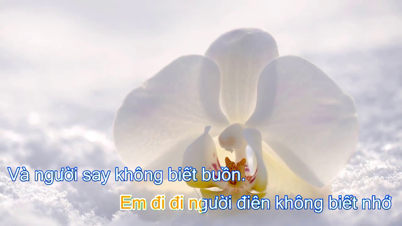MÙA ĐÔNG CỦA ANH ♫ Có phải tình băng giá là tình đẹp trên thế gian? ♫ Nhật Trường@reviews123