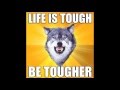 Best Of Courage Wolf