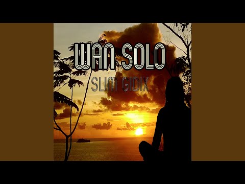 Wan Solo