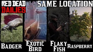 Exotic Bird, Badger, Raspberries, Flaky Fish Same Location - Red Dead Online Daily Challenges RDR2