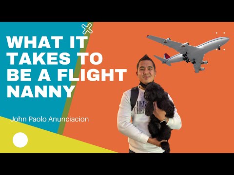 The Ins and Outs of Being a Flight Nanny: A Comprehensive Guide