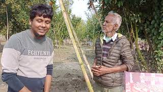 দার্জিলিং কমলা বাগান