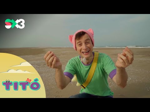 Excursió a buscar restes marines | Titó