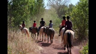 preview picture of video 'Clip 14: LAC DU SALAGOU 2010 - REITEN - Mit Kassel Family on tour'