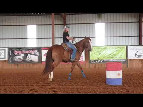 Danyelle Campbell teaches you drills on the barrel