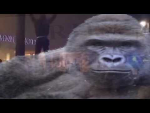 RIP Harambe (Meme Magic)