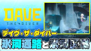 『デイヴ・ザ・ダイバー攻略』氷河通路と氷河区域の違いとセルジオ 終盤編