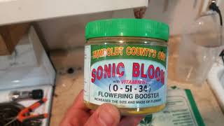Picture of a band or musician: Sonic Bloom