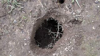 Filling a small back yard sinkhole (basic home repair skills for prepping)