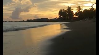 Download lagu Nikmati Senja di Pantai Pohon Cinta mp3 Download lagu Nikmati Senja di Pantai Pohon Cinta mp3