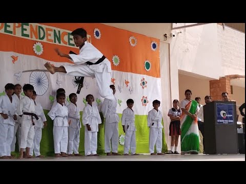 Martial art  the Art of Swordplay Guide#sword#martialartsdemo#mma#wushu #khabib#gym