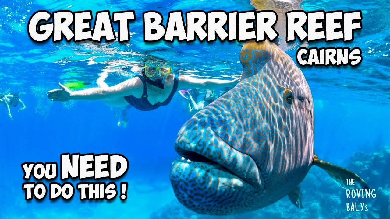 Join travelers as they experience snorkeling at Great Barrier Reef.