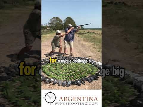 Duck Hunting in Argentina – AWS Lodge Experience