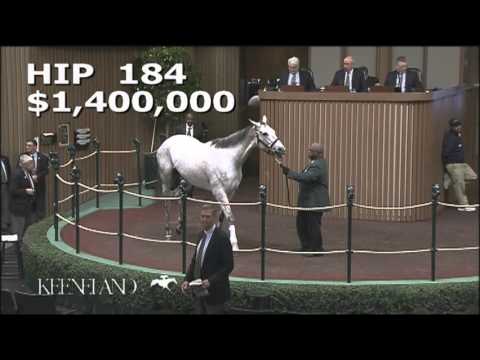 Keeneland November Sale 2015 - Hip 184 - Shook Up