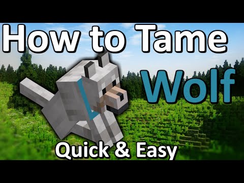 Flascoe - How to Tame a Wolf Minecraft | Quick & Easy!