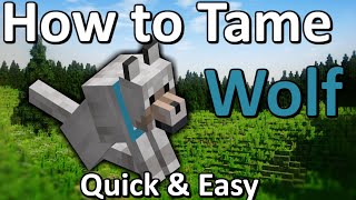 How to Tame a Wolf Minecraft | Quick & Easy!