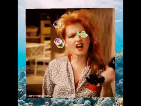 (Hands Up) Cyndi Lauper  - Girls Just Want To Have Fun (Lazybox Bootleg Remix)