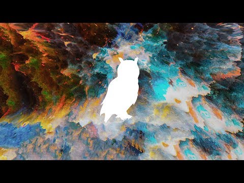 Wilkinson - We Will Be [feat. Matt Wills] (Roman Müller Remix)