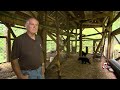 Researching Black Bears At The Kilham Bear Center