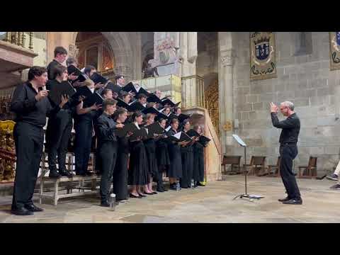 Cardoso, Aquam quam ego dabo