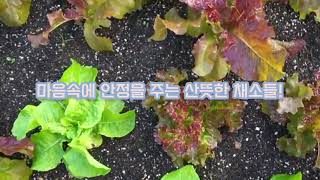 2022 도시농업활성화 영상공모전[입선작] 관련사진