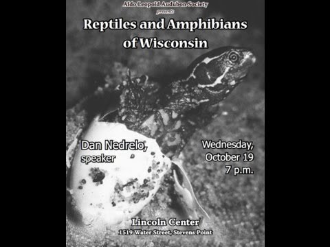 Reptiles and Amphibians of Wisconsin by Dan Nedrelo