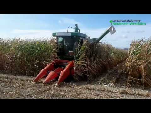Das Feldversuchswesen der Landwirtschaftskammer NRW