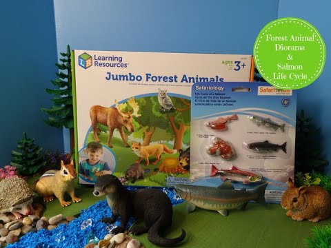 Forest Animal Small World Diorama With Salmon Life Cycle