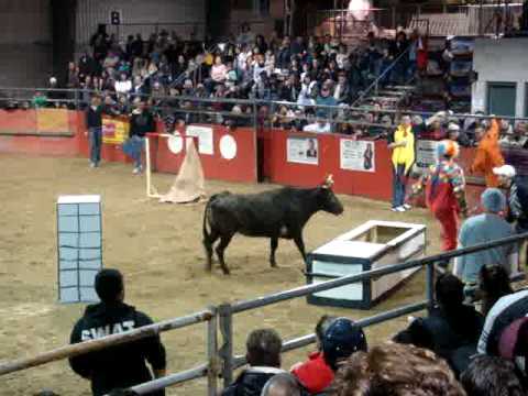 festa dos estudantes   bullfights canada