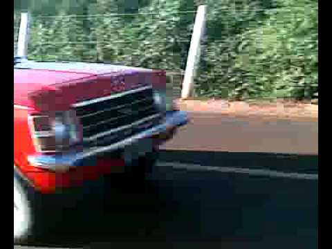 opala laranja do ricardo 2