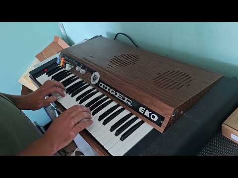 EKO Tiger 3000 Analog Organ Synth image 16