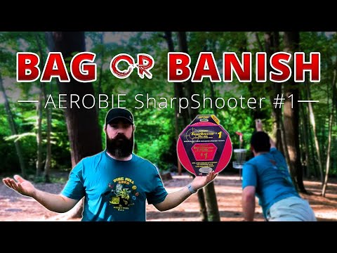 Bag or Banish | AEROBIE SharpShooter #1