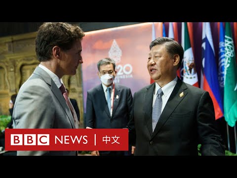 , title : 'G20：習近平在尷尬的交流中批評特魯多－ BBC News 中文'