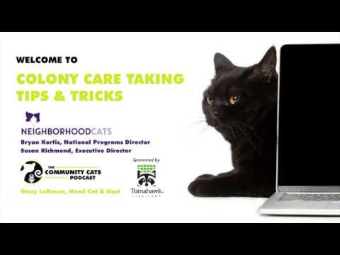 Colony Caretaking Tips & Tricks presented by Neighborhood Cats