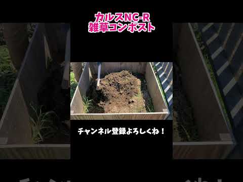 庭に堆肥をいつ、どのように追加するのですか?知っておくべきことはすべて！  庭園