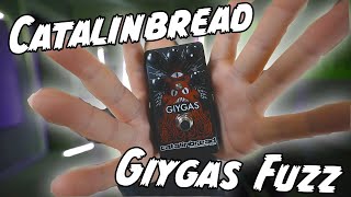Video thumbnail for ITS SO FUZZY! Catalinbread Giygas Fuzz! by Riffs, Beards & Gear
