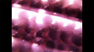 Sly5thAve - Interlude #4