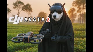 DJI AVATA 2 / Moca Unboxing and controlling the best drone