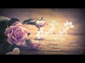 Tamil Love Songs Status Video