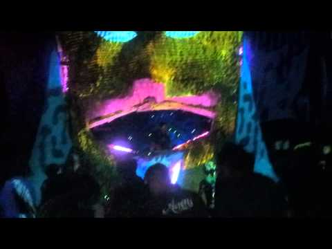 AcidMind dj set Human Evolution Festival 2014