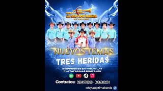 TRES HERIDAS - RAFA Y LA SÉPTIMA BANDA (COVER AUDIO)