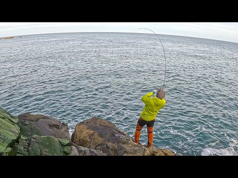 Catching Cod and Pollack With Lures | Lure Fishing UK
