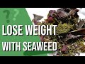 How to lose weight FAST with Seaweed