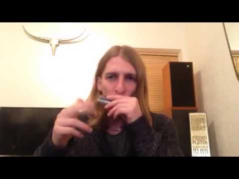 SONNY BOY WILLIAMSON  - 5 SIGNATURE LICKS (Harmonica Tutorial)